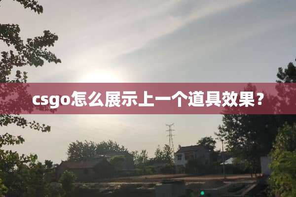 csgo怎么展示上一个道具效果？