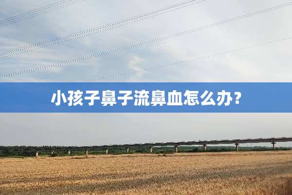 小孩子鼻子流鼻血怎么办？