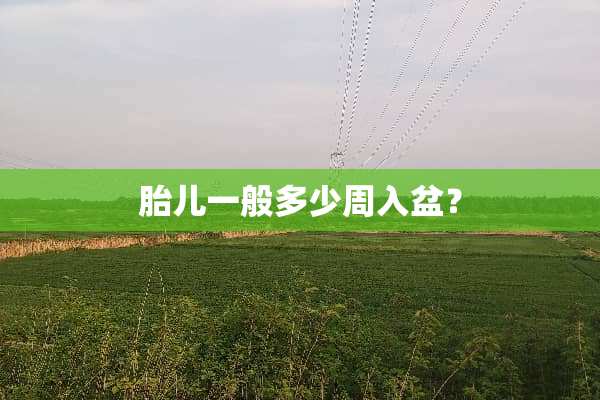 胎儿一般多少周入盆？
