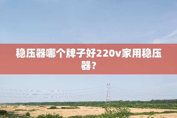 稳压器哪个牌子好220v家用稳压器？