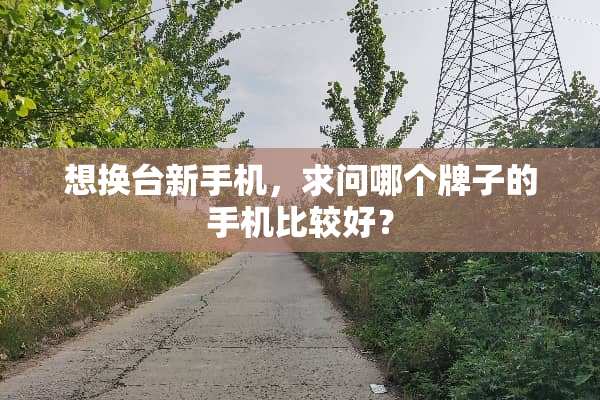 想换台新手机，求问哪个牌子的手机比较好？