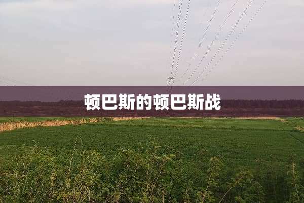 顿巴斯的顿巴斯战