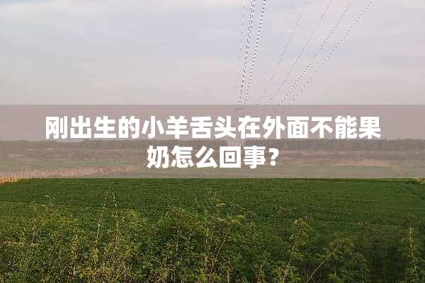 刚出生的小羊舌头在外面不能果奶怎么回事？