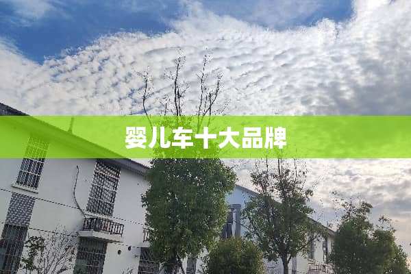 婴儿车十大品牌