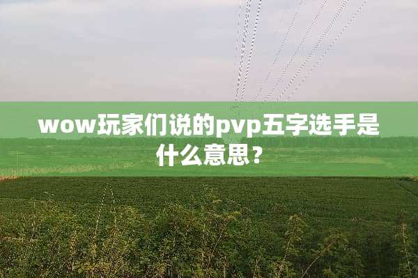 wow玩家们说的pvp五字选手是什么意思？
