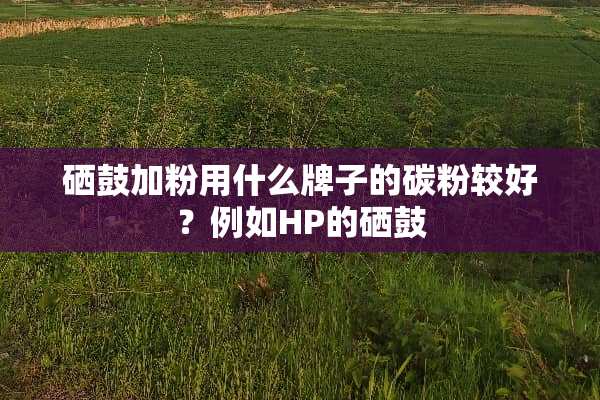 硒鼓加粉用什么牌子的碳粉较好？例如HP的硒鼓