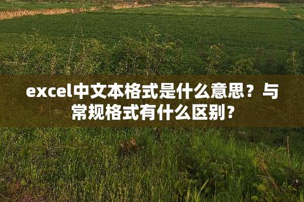 excel中文本格式是什么意思？与常规格式有什么区别？