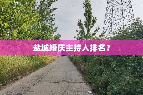 盐城婚庆主持人排名？