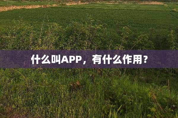 什么叫APP，有什么作用？