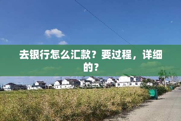 去银行怎么汇款？要过程，详细的？
