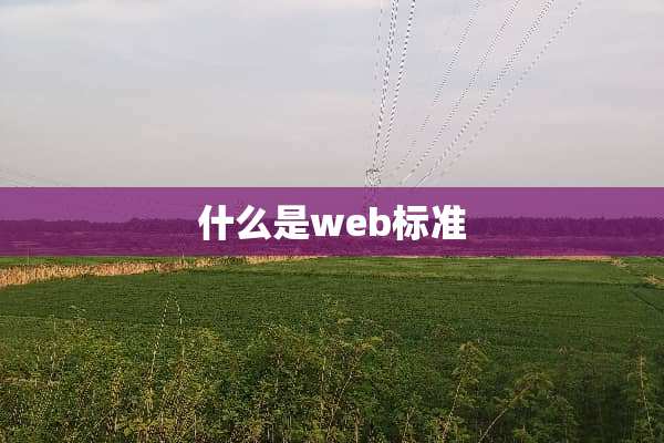 什么是web标准