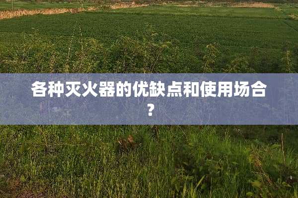 各种灭火器的优缺点和使用场合？