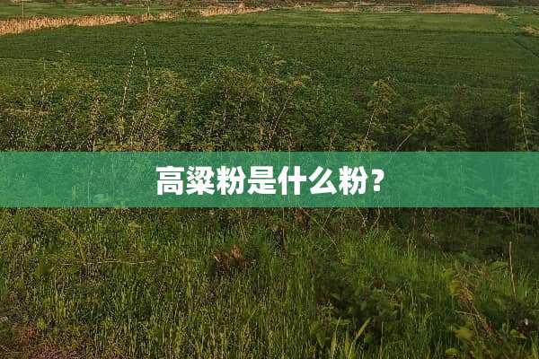 高粱粉是什么粉？
