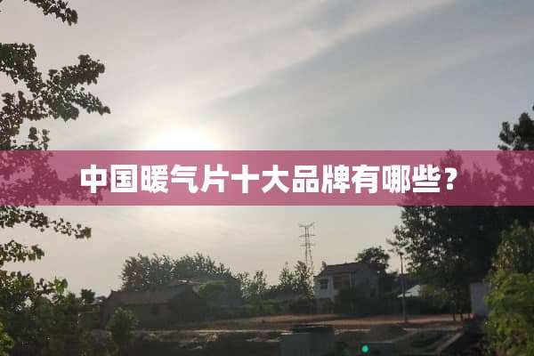 中国暖气片十大品牌有哪些？