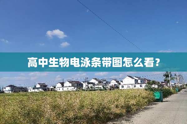 高中生物电泳条带图怎么看？