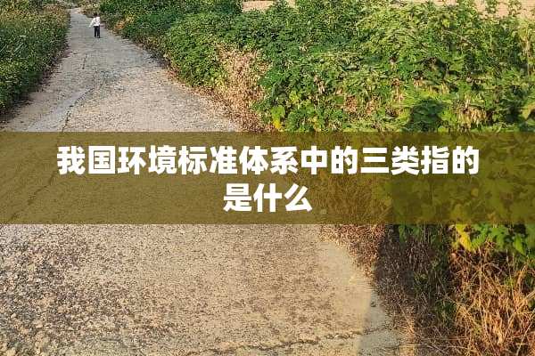 我国环境标准体系中的三类指的是什么