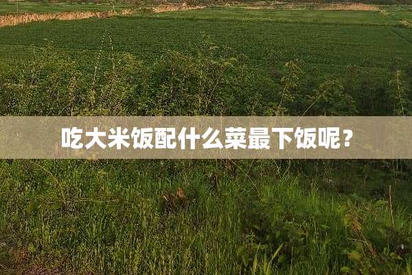 吃大米饭配什么菜最下饭呢？