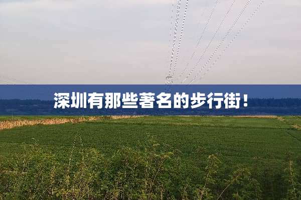 深圳有那些著名的步行街！