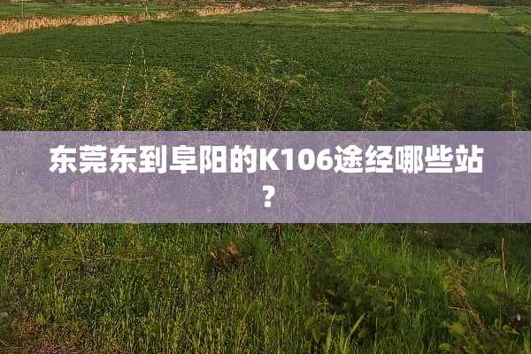 东莞东到阜阳的K106途经哪些站？