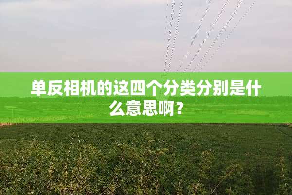 单反相机的这四个分类分别是什么意思啊？