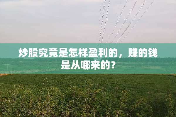 炒股究竟是怎样盈利的，赚的钱是从哪来的？
