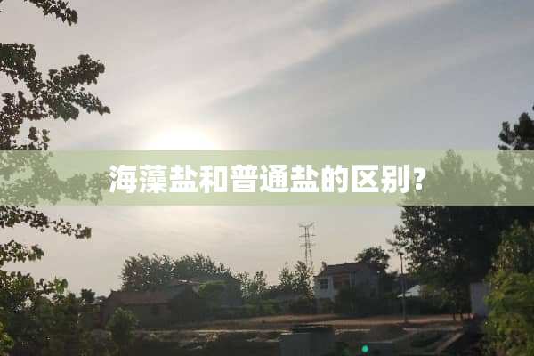 海藻盐和普通盐的区别？
