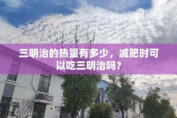 三明治的热量有多少，减肥时可以吃三明治吗？