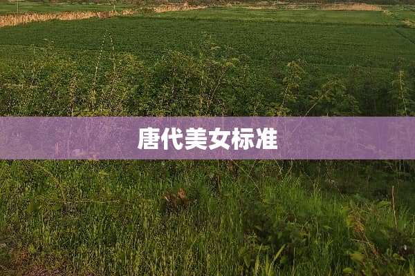 唐代**标准