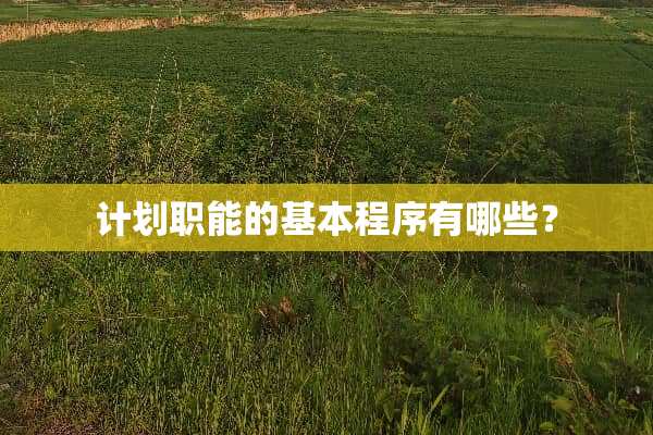 计划职能的基本程序有哪些？