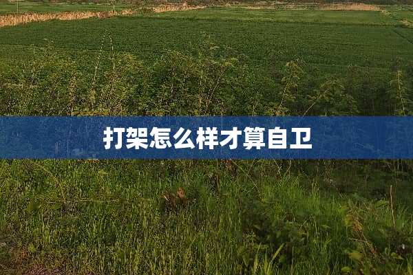 打架怎么样才算自卫