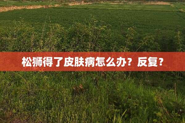 松狮得了皮肤病怎么办？反复？