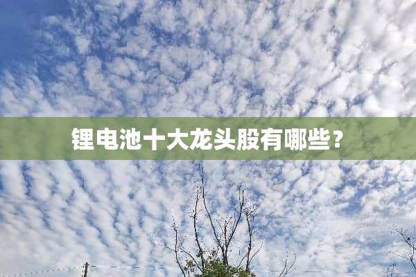 锂电池十大龙头股有哪些？