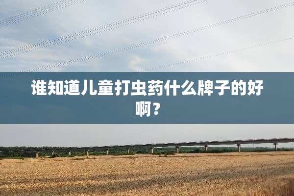 谁知道儿童打虫药什么牌子的好啊？