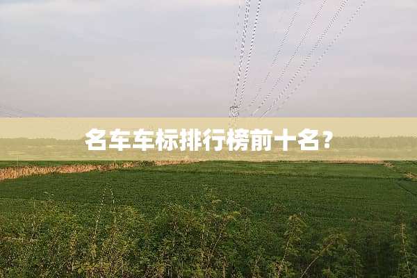 名车车标排行榜前十名？