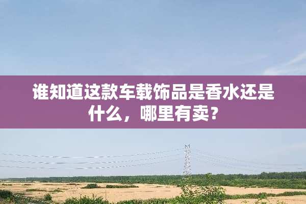谁知道这款车载饰品是香水还是什么，哪里有卖？