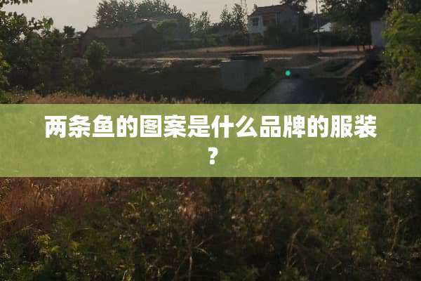 两条鱼的图案是什么品牌的服装？