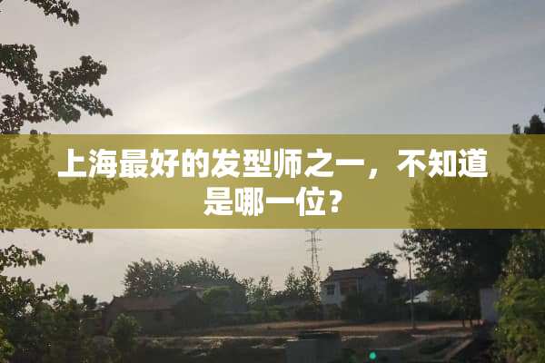 上海最好的发型师之一，不知道是哪一位？