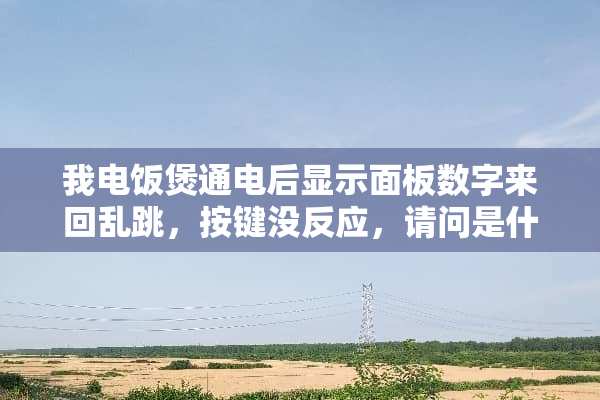 我电饭煲通电后显示面板数字来回乱跳，按键没反应，请问是什么原因？谢谢！