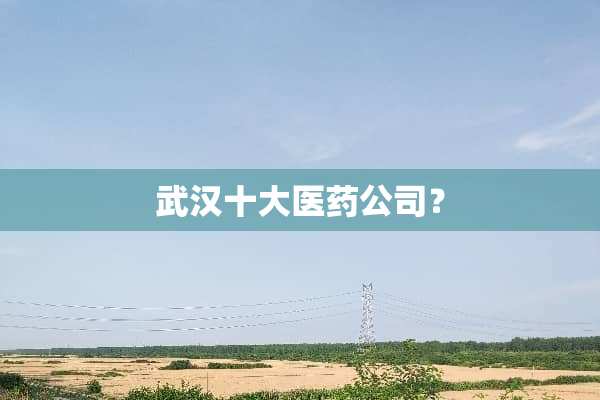 武汉十大医药公司？