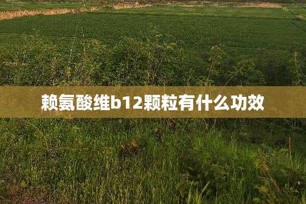 赖氨酸维b12颗粒有什么功效
