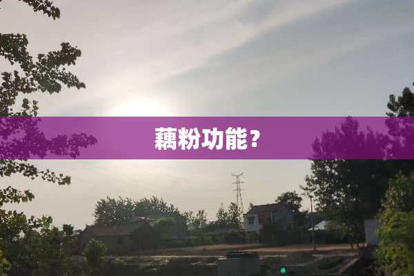 藕粉功能？