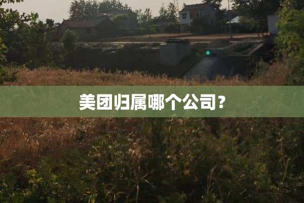 美团归属哪个公司？