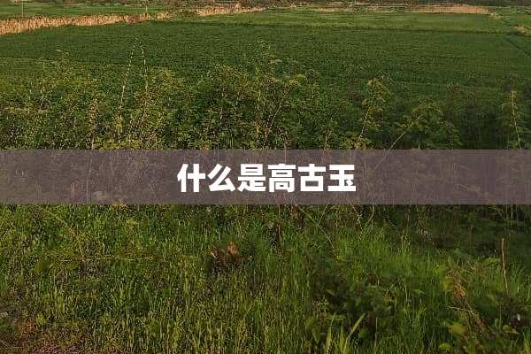 什么是高古玉