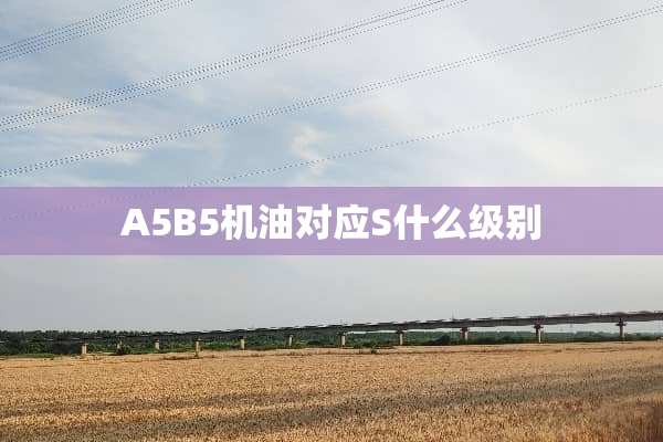 A5B5机油对应S什么级别