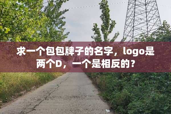求一个包包牌子的名字，logo是两个D，一个是相反的？
