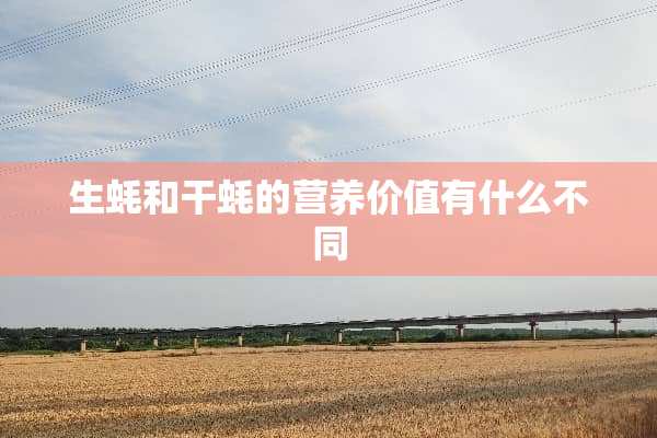 生蚝和干蚝的营养价值有什么不同