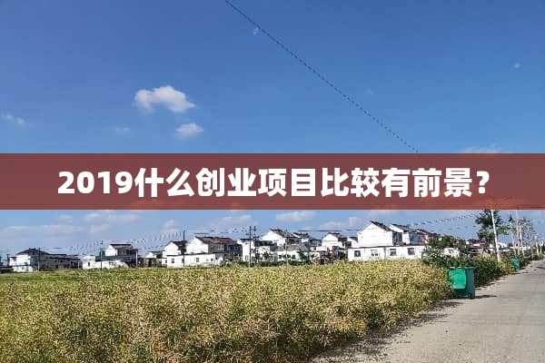 2019什么创业项目比较有前景？