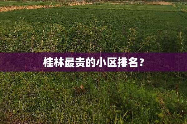桂林最贵的小区排名？