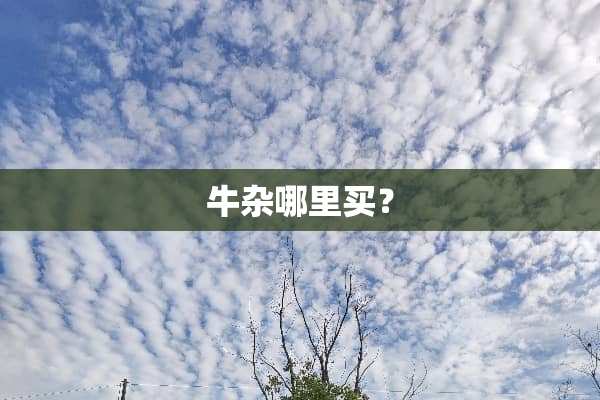 牛杂哪里买？