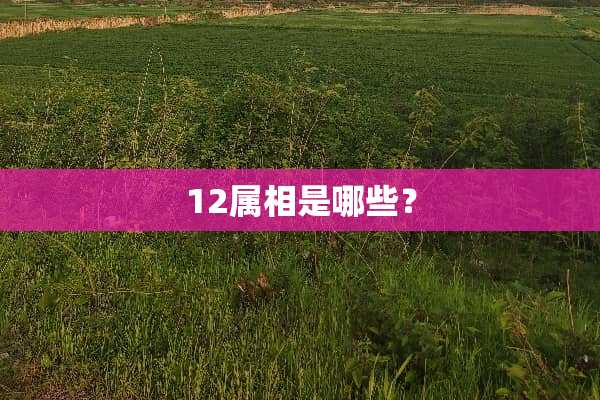 12属相是哪些？